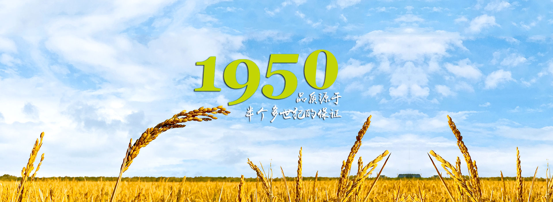 超微量分光光度計