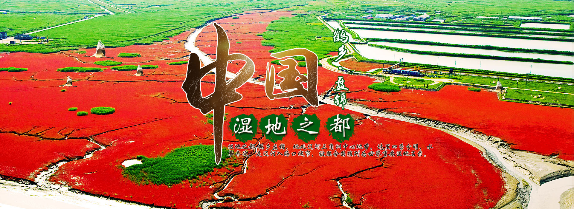 凝膠成像系統(tǒng)