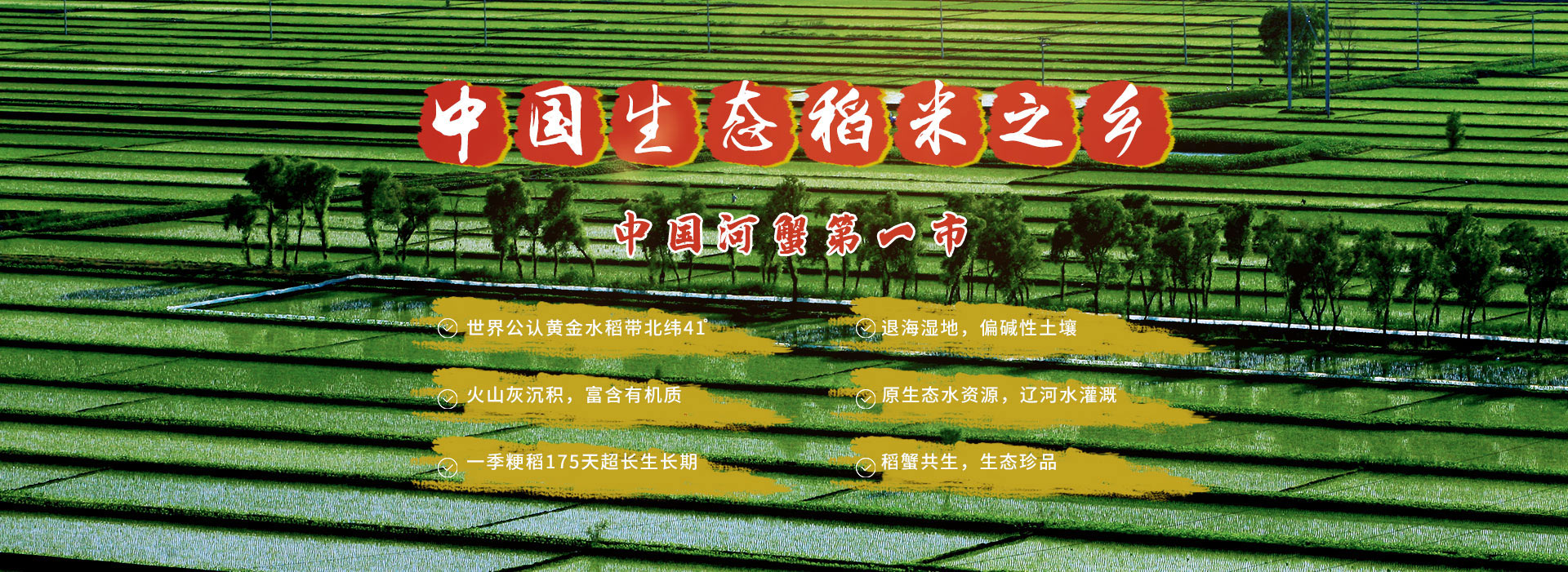 三用紫外分析儀